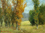 wes drake cottonwoods